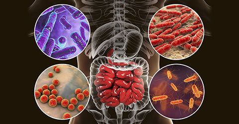 Combinations Of Food That Can Cause Gas and Bloating