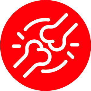 Bones & Joint Wellness