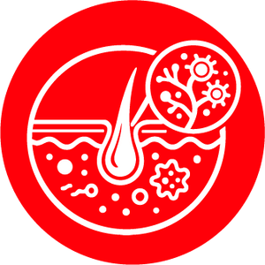 Skin & Fungal