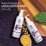 Ayouthveda Purple Rice Hair Care Combo (Purple Rice Shampoo 200g + Purple Rice Conditioner200g)