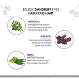 Ayouthveda Healthy Hair Shampoo With Bhringraj and Shikakai (200ml )