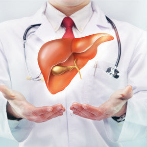 Treatment of Liver Disease/Damage