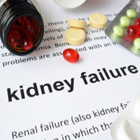 Save Your Kidneys from Diabetes: Get Aware