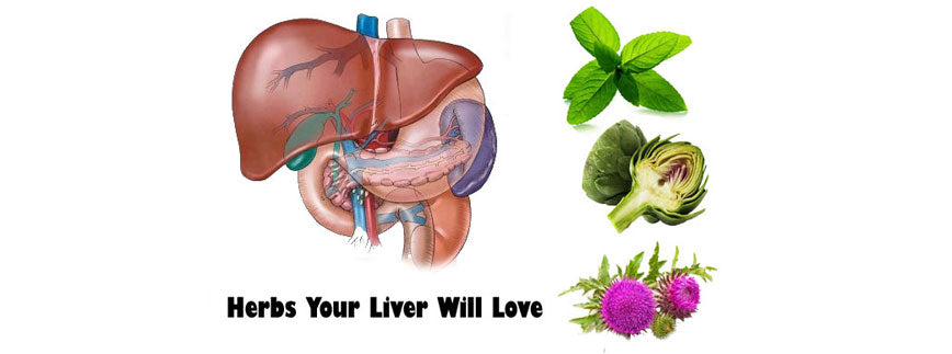 Effective Herbs and Dos & Don'ts Of Liver Health
