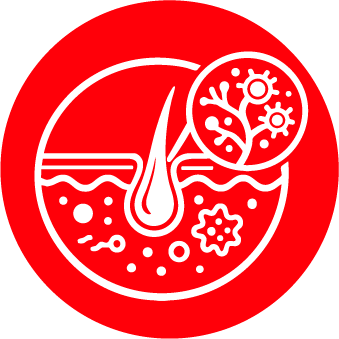 Skin & Fungal