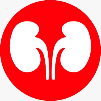 Kidney Care