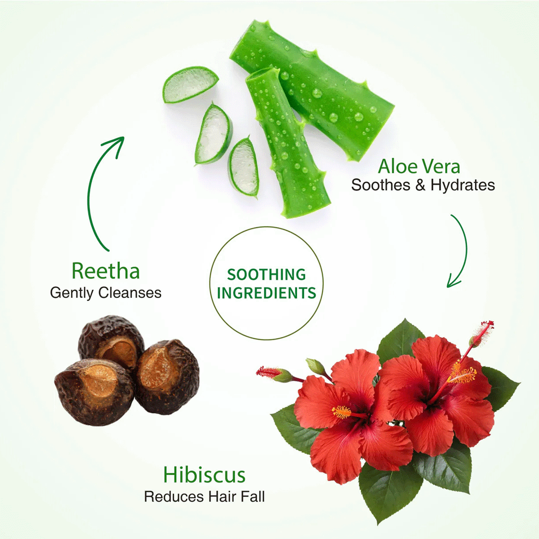 Ayouthveda Aloe Vera Shampoo for Hair Fall Control, Dandruff & Itchy Scalp 250ml