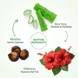 Ayouthveda Aloe Vera Shampoo for Hair Fall Control, Dandruff & Itchy Scalp 250ml