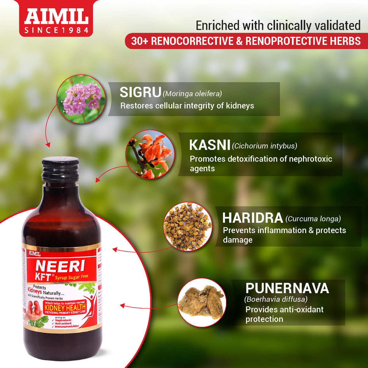 Neeri KFT Syrup (Sugar Free) 200ml at best price with free shipping – AIMIL