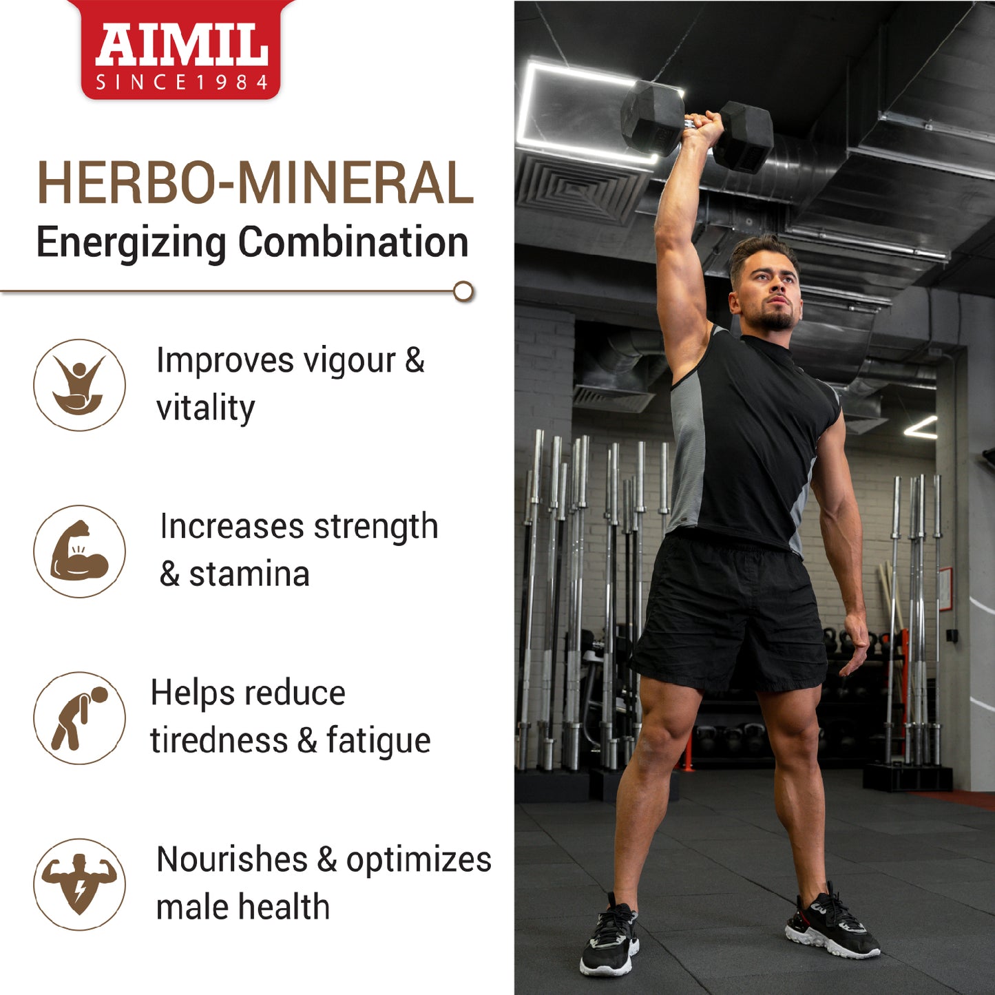 Aimil Shilajit Gold Capsules – Performance Booster