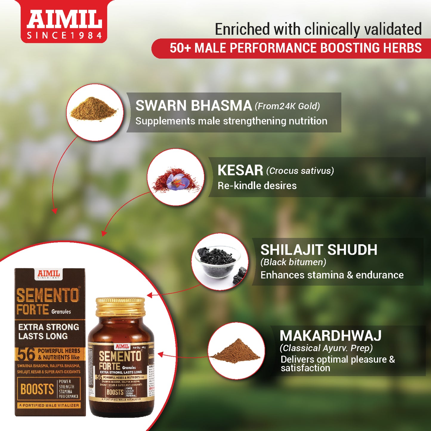 Aimil Semento Forte Granules
