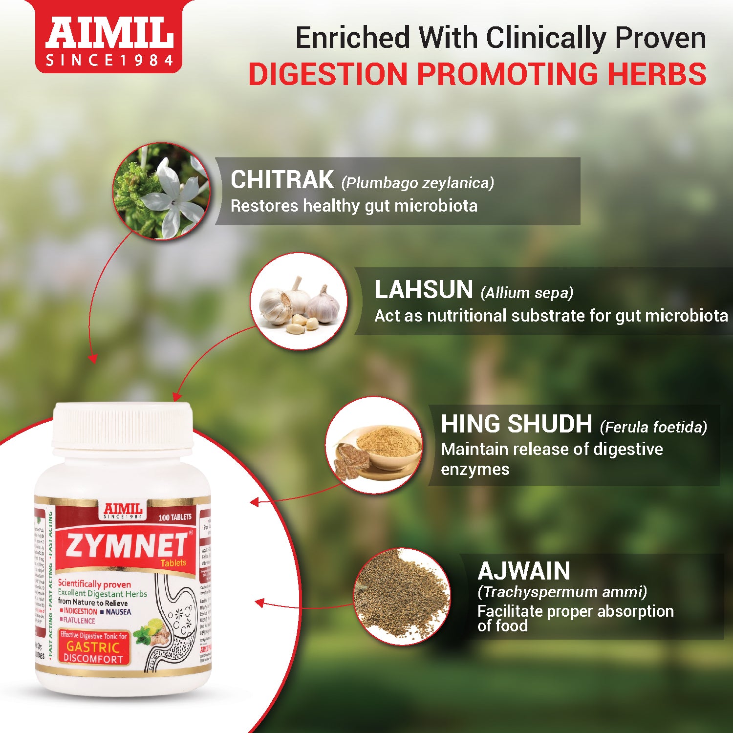 aimi　0612 Buy Aimil Zymnet Tablets Ayurvedic daily digestive care for