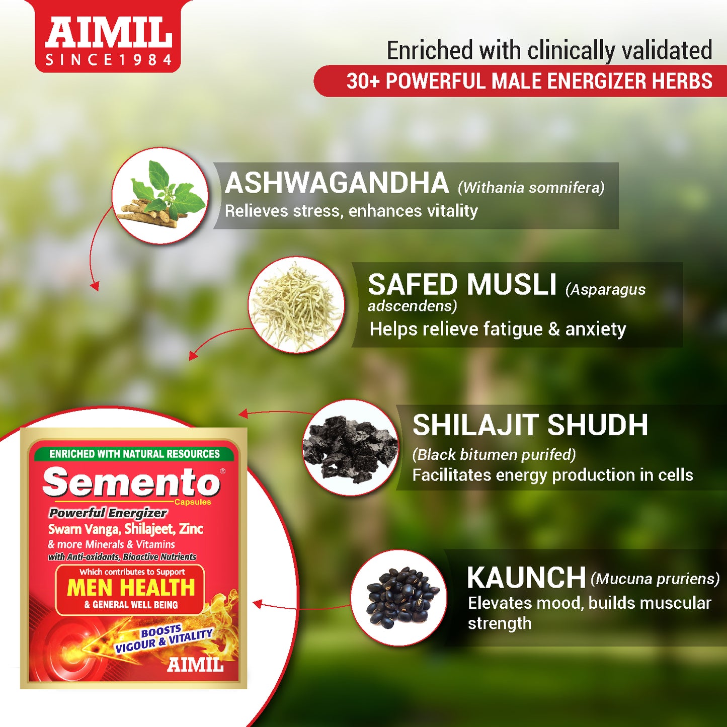 Semento Capsule (Pack of 3)