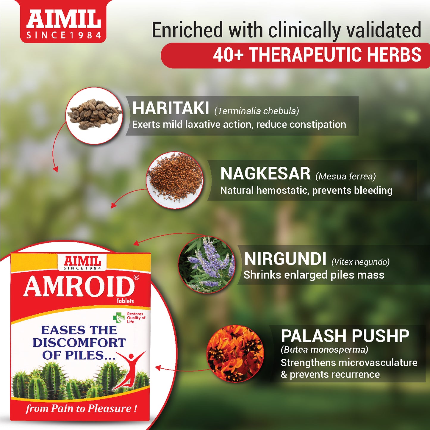 Amroid Tablets ( 30Tablets )