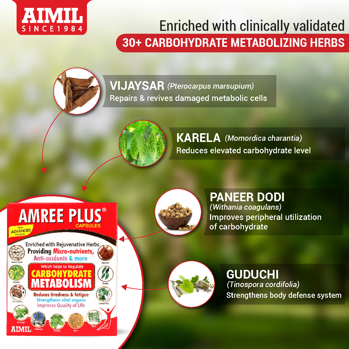 Amree Plus Capsules