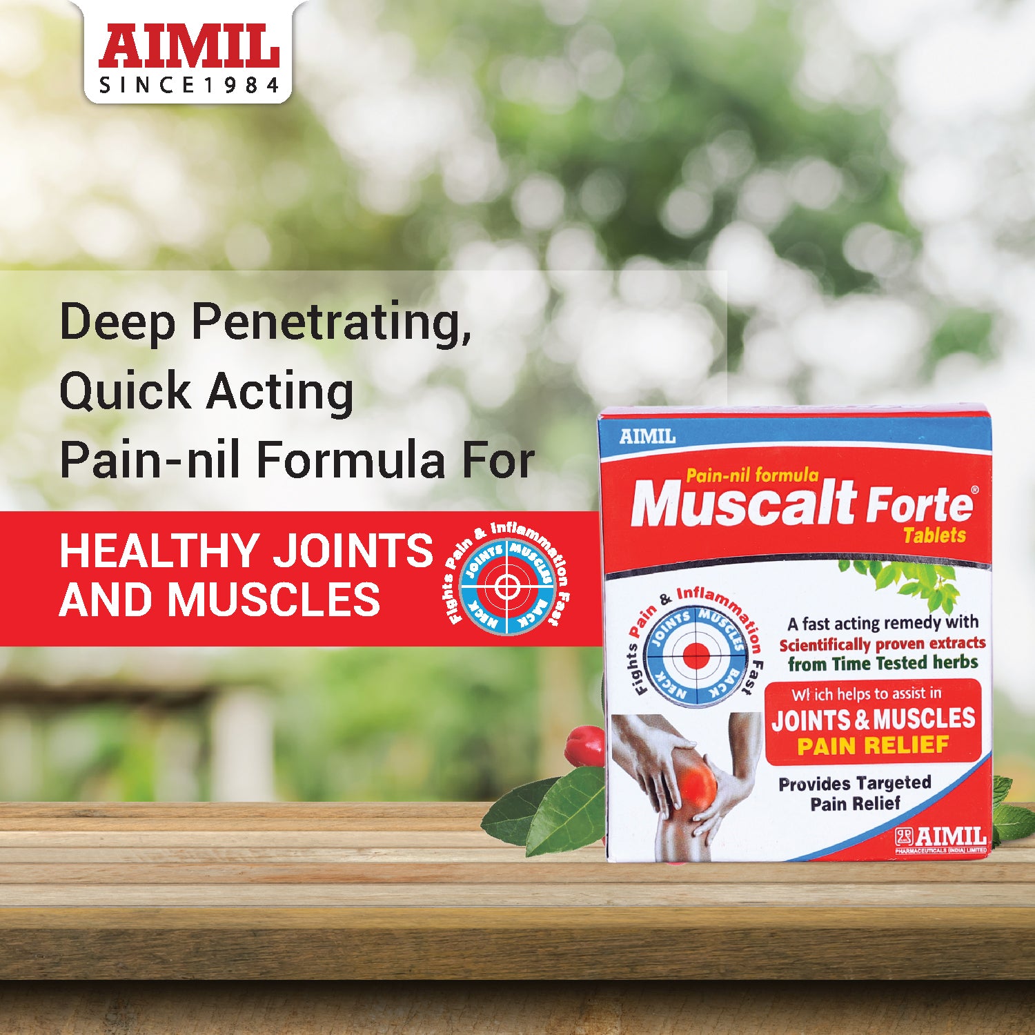 Buy Ayurvedic medicine for Bones strength, Joints & Knee pain - AIMIL ...