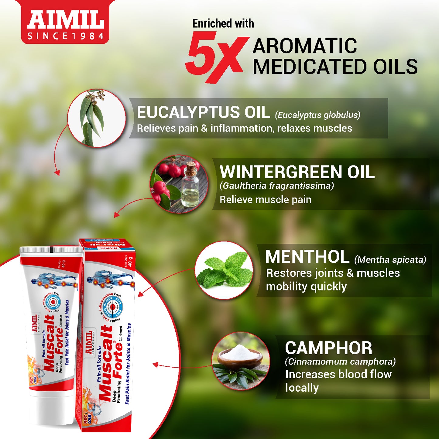 Muscalt Forte Ointment 40gm