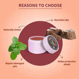 Ayouthveda Chocolate & Mint Lip Balm 10g