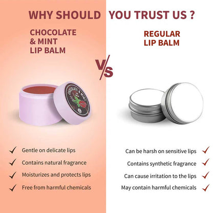 Ayouthveda Chocolate & Mint Lip Balm 10g
