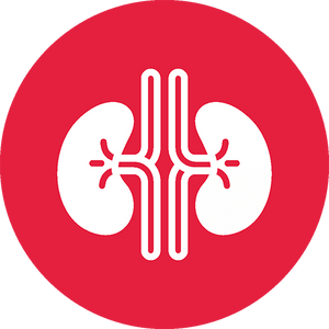 Kidney Care