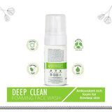 Ayouthveda Deep Clean Foaming Face Wash 100 ML